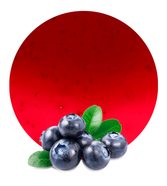 BlueBerry Comminuted